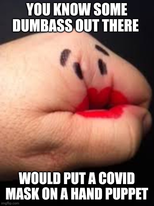 Covid 2.0 memes | YOU KNOW SOME DUMBASS OUT THERE; WOULD PUT A COVID  MASK ON A HAND PUPPET | image tagged in covid | made w/ Imgflip meme maker