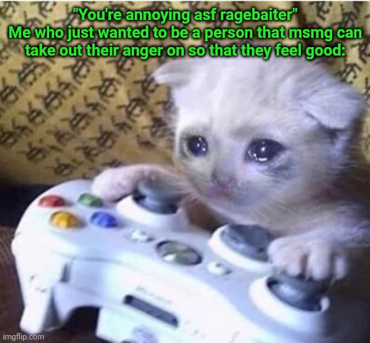 Sad gaming cat | "You're annoying asf ragebaiter"
Me who just wanted to be a person that msmg can take out their anger on so that they feel good: | image tagged in sad gaming cat | made w/ Imgflip meme maker