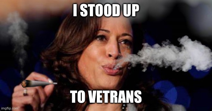 Kamala Harris stoned | I STOOD UP; TO VETRANS | image tagged in kamala harris stoned | made w/ Imgflip meme maker