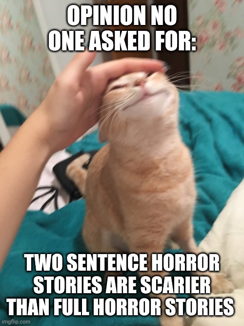 :3 | OPINION NO ONE ASKED FOR:; TWO SENTENCE HORROR STORIES ARE SCARIER THAN FULL HORROR STORIES | image tagged in cat pat | made w/ Imgflip meme maker