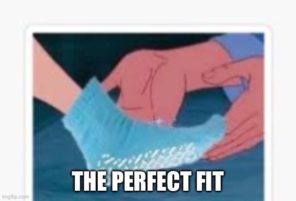 Grippy sock | THE PERFECT FIT | image tagged in grippy sock | made w/ Imgflip meme maker