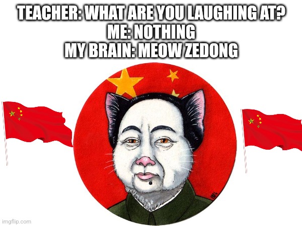 Meow Zedong | TEACHER: WHAT ARE YOU LAUGHING AT?
ME: NOTHING
MY BRAIN: MEOW ZEDONG | image tagged in china | made w/ Imgflip meme maker