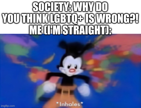 it's because they're human too, dumbass.. | SOCIETY: WHY DO YOU THINK LGBTQ+ IS WRONG?!
ME (I'M STRAIGHT): | image tagged in yakko inhale | made w/ Imgflip meme maker