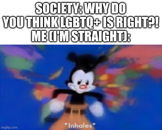 it's because they're human like us, dumbass | SOCIETY: WHY DO YOU THINK LGBTQ+ IS RIGHT?!
ME (I'M STRAIGHT): | image tagged in yakko inhale | made w/ Imgflip meme maker