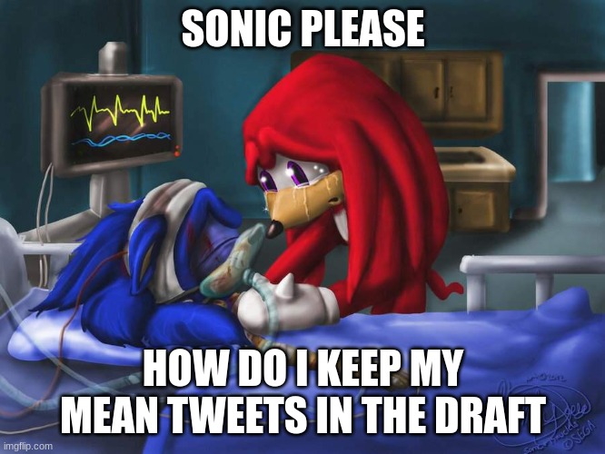 Please how do I do it? | SONIC PLEASE; HOW DO I KEEP MY MEAN TWEETS IN THE DRAFT | image tagged in sonic please | made w/ Imgflip meme maker