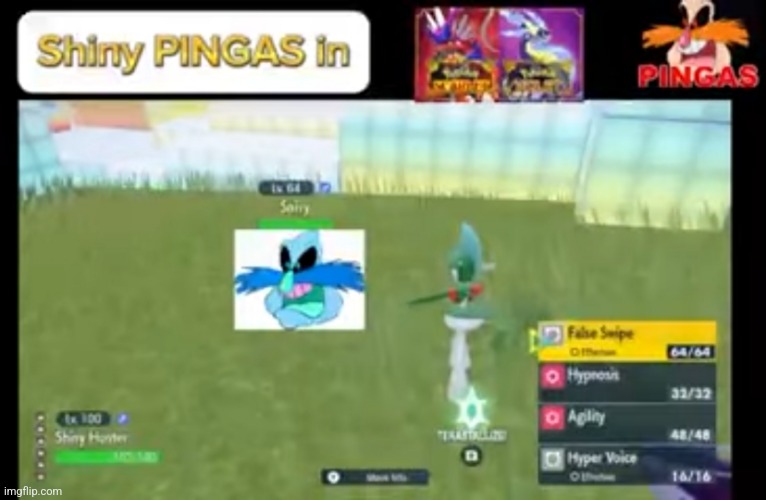 Shiny Pingas.mp3 | made w/ Imgflip meme maker