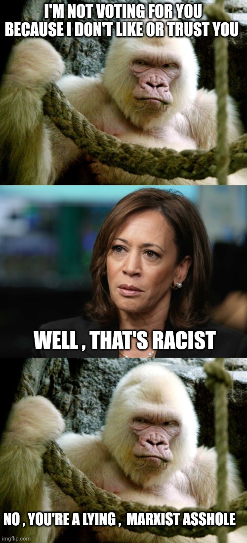 kamala harris meme | I'M NOT VOTING FOR YOU BECAUSE I DON'T LIKE OR TRUST YOU; WELL , THAT'S RACIST; NO , YOU'RE A LYING ,  MARXIST ASSHOLE | image tagged in kamala harris | made w/ Imgflip meme maker