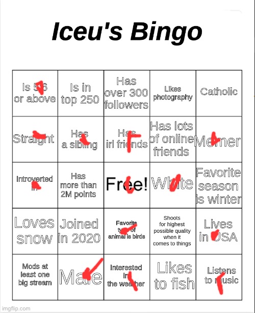 There. How did I do? | image tagged in iceu's bingo | made w/ Imgflip meme maker