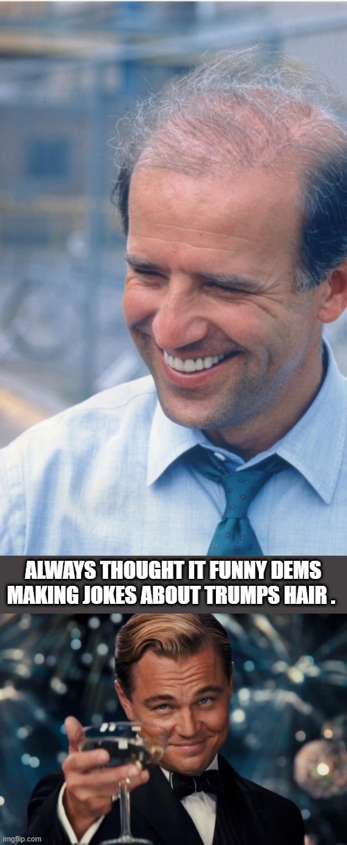 Great Hair Joe | ALWAYS THOUGHT IT FUNNY DEMS MAKING JOKES ABOUT TRUMPS HAIR . | image tagged in memes,leonardo dicaprio cheers | made w/ Imgflip meme maker