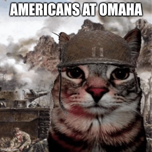 War Cat | AMERICANS AT OMAHA | image tagged in war cat | made w/ Imgflip meme maker