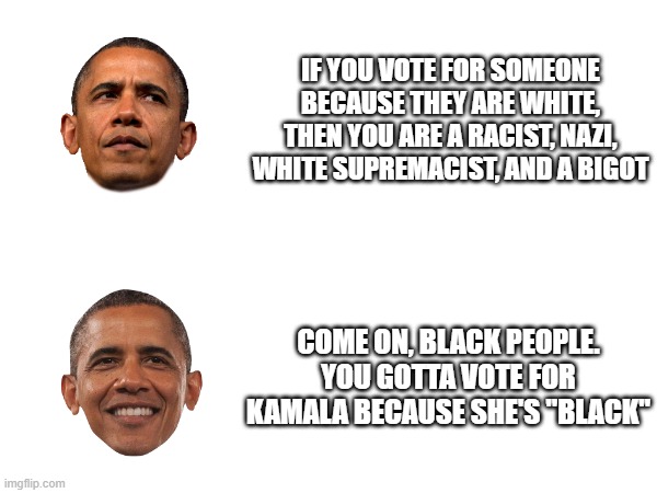 Race Hustlin' Is What He's Best At | IF YOU VOTE FOR SOMEONE BECAUSE THEY ARE WHITE, THEN YOU ARE A RACIST, NAZI, WHITE SUPREMACIST, AND A BIGOT; COME ON, BLACK PEOPLE. YOU GOTTA VOTE FOR KAMALA BECAUSE SHE'S "BLACK" | image tagged in racist obama | made w/ Imgflip meme maker