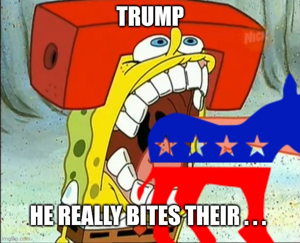 Spongebob bite | TRUMP HE REALLY BITES THEIR . . . | image tagged in spongebob bite | made w/ Imgflip meme maker