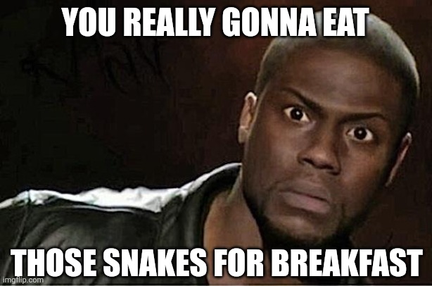 Kevin Hart Meme | YOU REALLY GONNA EAT; THOSE SNAKES FOR BREAKFAST | image tagged in memes,kevin hart | made w/ Imgflip meme maker