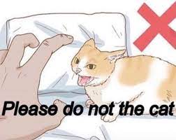 Please do not the cat Blank Meme Template