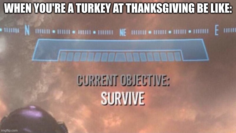 Wat should I name it? | WHEN YOU'RE A TURKEY AT THANKSGIVING BE LIKE: | image tagged in current objective survive | made w/ Imgflip meme maker