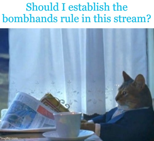 https://imgflip.com/i/7blsv3 | Should I establish the bombhands rule in this stream? | image tagged in memes,i should buy a boat cat | made w/ Imgflip meme maker