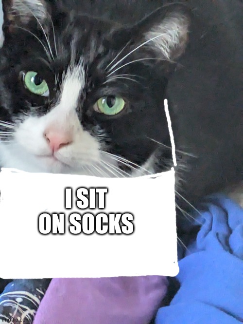 I SIT ON SOCKS | made w/ Imgflip meme maker