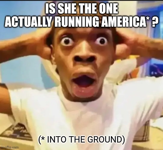 Surprised Black Guy | IS SHE THE ONE ACTUALLY RUNNING AMERICA* ? (* INTO THE GROUND) | image tagged in surprised black guy | made w/ Imgflip meme maker