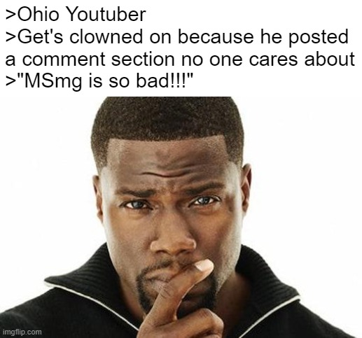 Kevin hart think | >Ohio Youtuber
>Get's clowned on because he posted a comment section no one cares about
>"MSmg is so bad!!!" | image tagged in kevin hart think | made w/ Imgflip meme maker