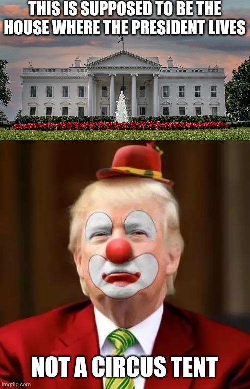 THIS IS SUPPOSED TO BE THE HOUSE WHERE THE PRESIDENT LIVES NOT A CIRCUS TENT | image tagged in donald trump clown | made w/ Imgflip meme maker