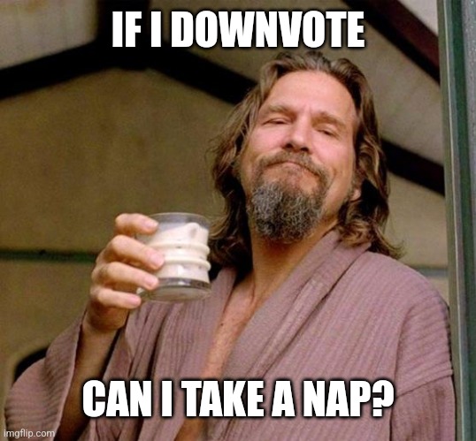 Big Lebowski | IF I DOWNVOTE CAN I TAKE A NAP? | image tagged in big lebowski | made w/ Imgflip meme maker