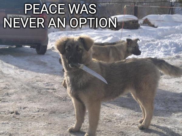 Dog with knife running these streets | PEACE WAS NEVER AN OPTION | image tagged in dog with knife running these streets | made w/ Imgflip meme maker