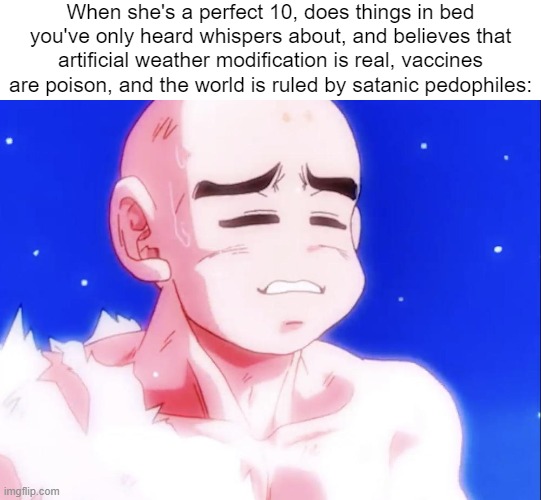 Perfection incarnate. | When she's a perfect 10, does things in bed you've only heard whispers about, and believes that artificial weather modification is real, vaccines are poison, and the world is ruled by satanic pedophiles: | image tagged in krillin mmm | made w/ Imgflip meme maker