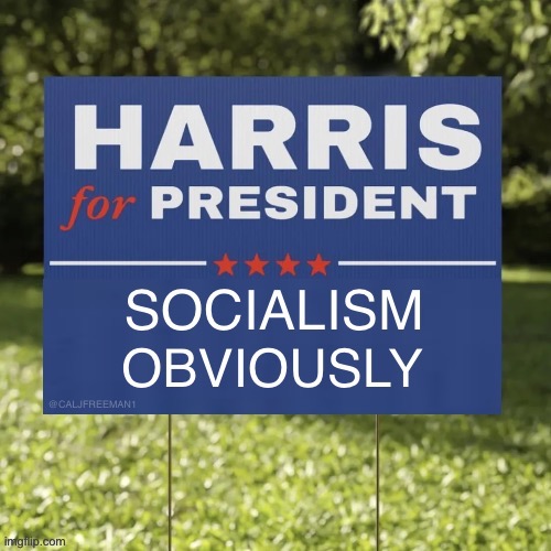 @CALJFREEMAN1 | image tagged in kamala harris,maga,president trump,presidential race,stupid signs,republicans | made w/ Imgflip meme maker