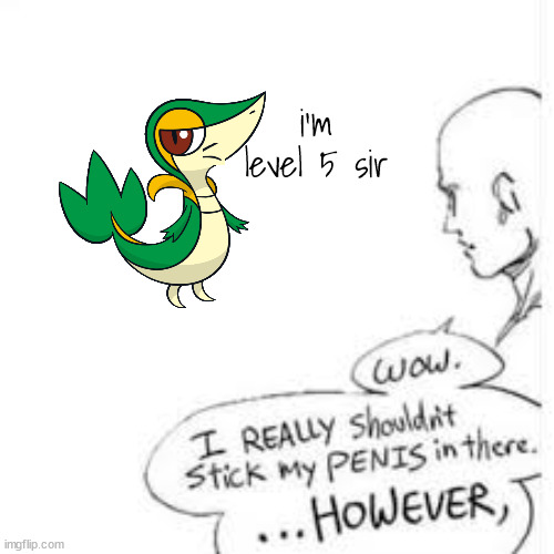 Wow, i really shouldn't stick my- | i'm level 5 sir | image tagged in wow i really shouldn't stick my- | made w/ Imgflip meme maker