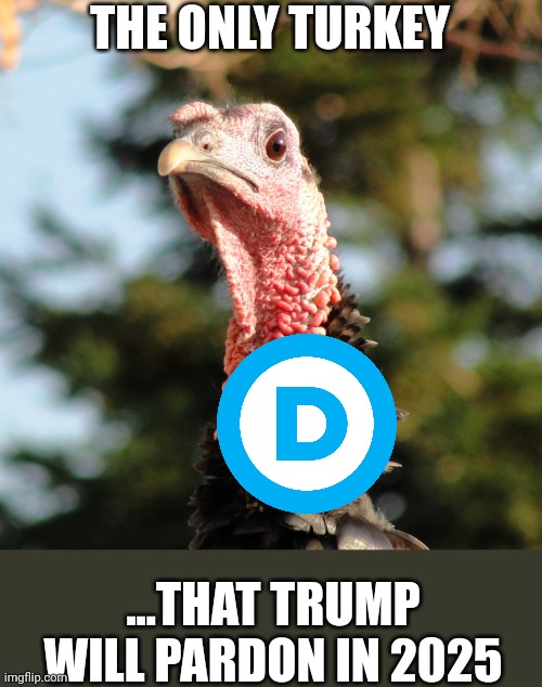 The only democrat Turkey that will have a reasonable defence | THE ONLY TURKEY; ...THAT TRUMP WILL PARDON IN 2025 | image tagged in gobblygook | made w/ Imgflip meme maker