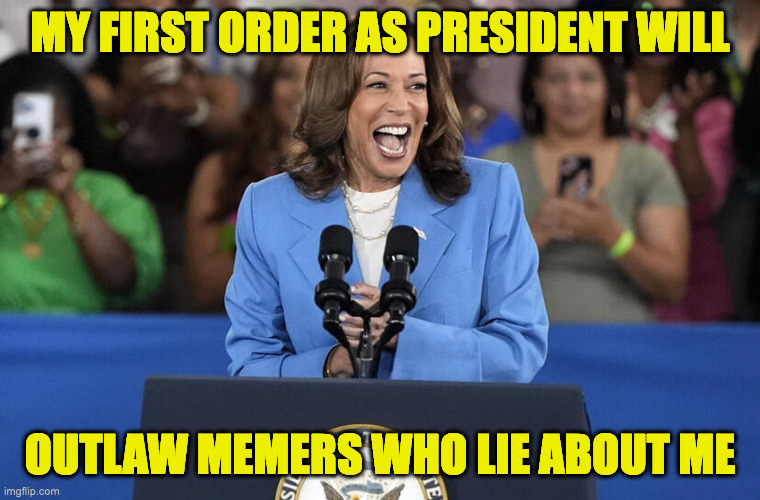 MY FIRST ORDER AS PRESIDENT WILL OUTLAW MEMERS WHO LIE ABOUT ME | made w/ Imgflip meme maker