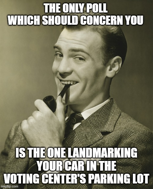 True dat | THE ONLY POLL WHICH SHOULD CONCERN YOU; IS THE ONE LANDMARKING YOUR CAR IN THE VOTING CENTER'S PARKING LOT | image tagged in smug,polls,voting | made w/ Imgflip meme maker