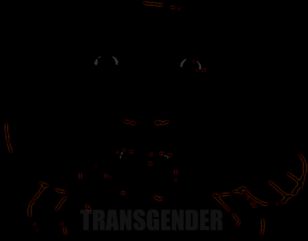 transgender Blank Meme Template