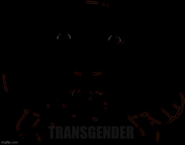 new temp | image tagged in transgender | made w/ Imgflip meme maker