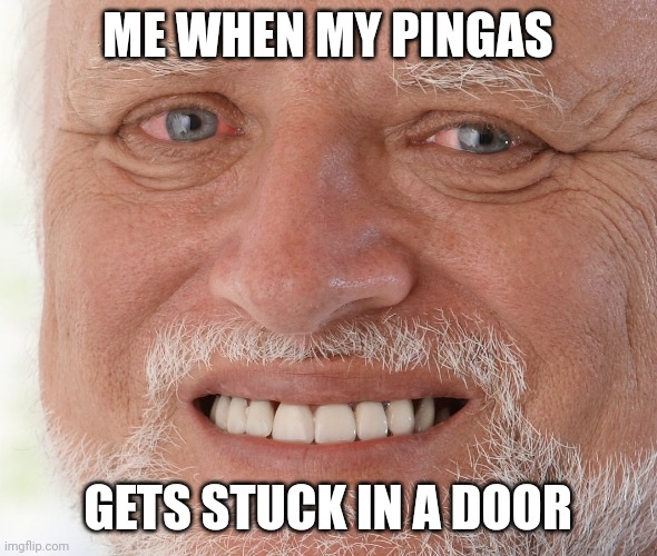 Ow | ME WHEN MY PINGAS; GETS STUCK IN A DOOR | image tagged in hide the pain harold | made w/ Imgflip meme maker