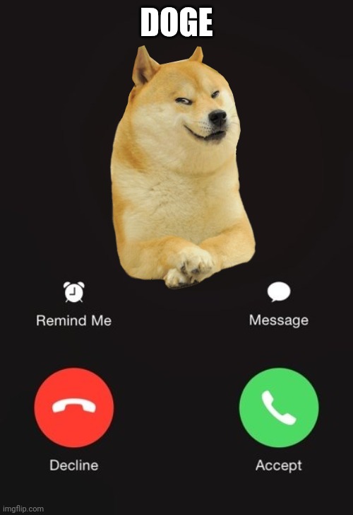 Incoming call | DOGE | image tagged in incoming call | made w/ Imgflip meme maker