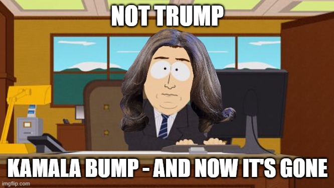 NOT TRUMP - NO BUMP | NOT TRUMP; KAMALA BUMP - AND NOW IT'S GONE | image tagged in kamala harris,not trump,biden,coup,liar,disloyal | made w/ Imgflip meme maker