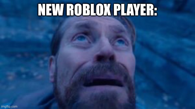 NEW ROBLOX PLAYER: | made w/ Imgflip meme maker