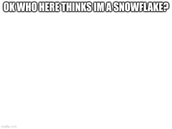 OK WHO HERE THINKS IM A SNOWFLAKE? | made w/ Imgflip meme maker