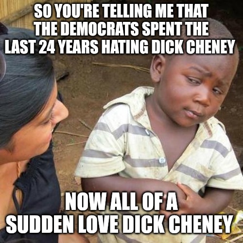 So you're telling me | SO YOU'RE TELLING ME THAT THE DEMOCRATS SPENT THE LAST 24 YEARS HATING DICK CHENEY; NOW ALL OF A SUDDEN LOVE DICK CHENEY | image tagged in memes,third world skeptical kid | made w/ Imgflip meme maker