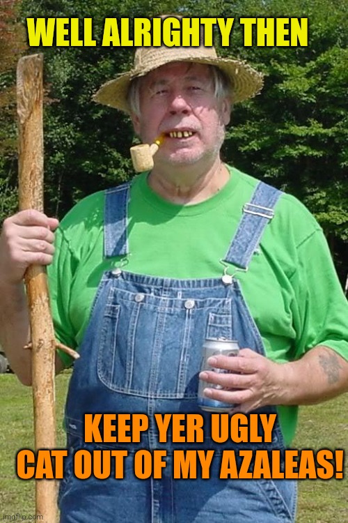 hillbilly | WELL ALRIGHTY THEN KEEP YER UGLY CAT OUT OF MY AZALEAS! | image tagged in hillbilly | made w/ Imgflip meme maker