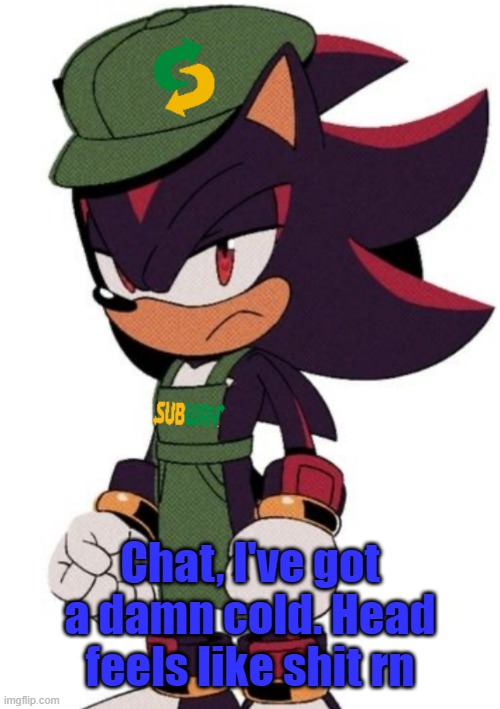The Ultimate sandwich maker | Chat, I've got a damn cold. Head feels like shit rn | image tagged in shadow subway | made w/ Imgflip meme maker