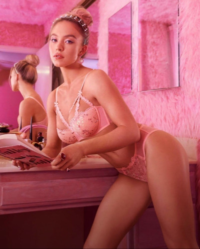 Dear diary Blank Meme Template