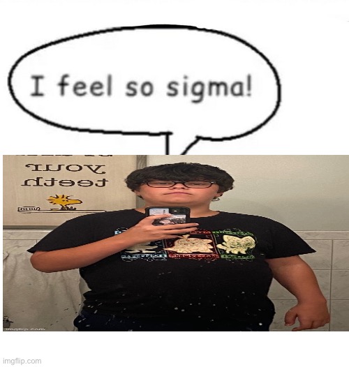 I feel so sigma! | image tagged in i feel so sigma | made w/ Imgflip meme maker