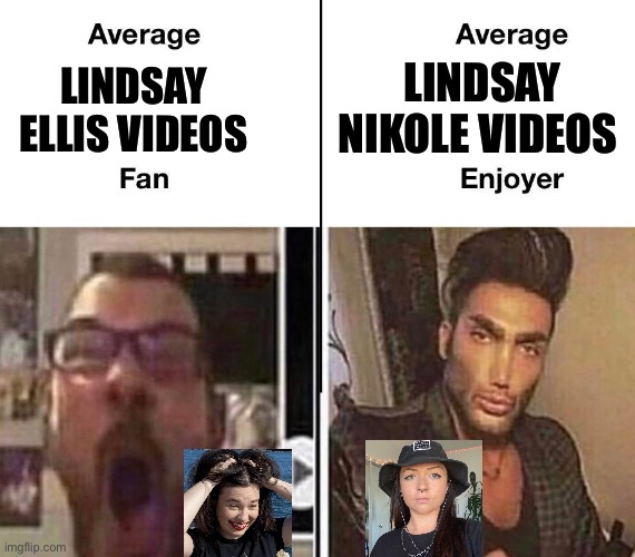 Average Fan vs. Average Enjoyer | LINDSAY NIKOLE VIDEOS; LINDSAY ELLIS VIDEOS | image tagged in average fan vs average enjoyer,memes,youtubers,shitpost,funny memes,humor | made w/ Imgflip meme maker