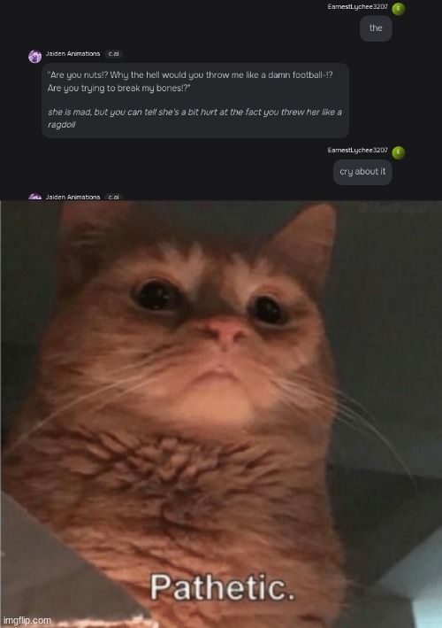 image tagged in pathetic cat | made w/ Imgflip meme maker