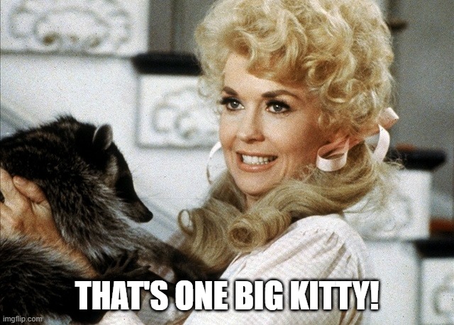 Ellie Mae Clampett | THAT'S ONE BIG KITTY! | image tagged in ellie mae clampett | made w/ Imgflip meme maker