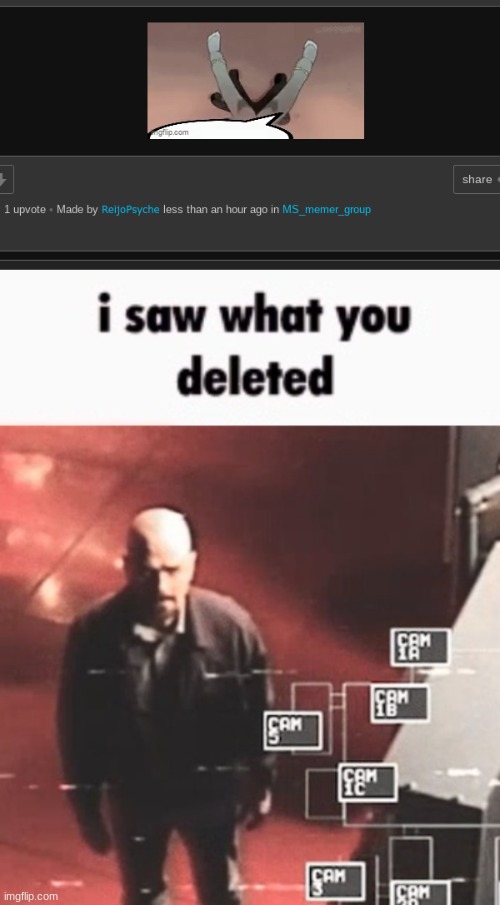 ㅤ | image tagged in i saw what you deleted | made w/ Imgflip meme maker