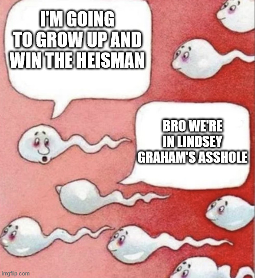 Lindsey Graham | I'M GOING TO GROW UP AND WIN THE HEISMAN; BRO WE'RE IN LINDSEY GRAHAM'S ASSHOLE | image tagged in 2 sperm talking | made w/ Imgflip meme maker