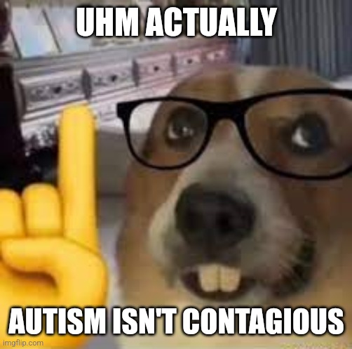 nerd dog | UHM ACTUALLY AUTISM ISN'T CONTAGIOUS | image tagged in nerd dog | made w/ Imgflip meme maker